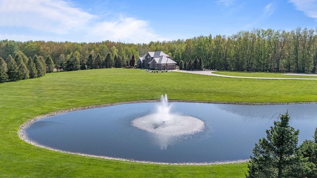 4624 Parman Rd, Stockbridge, MI 49285 - view of property's community with a water view, a yard, and a forest view