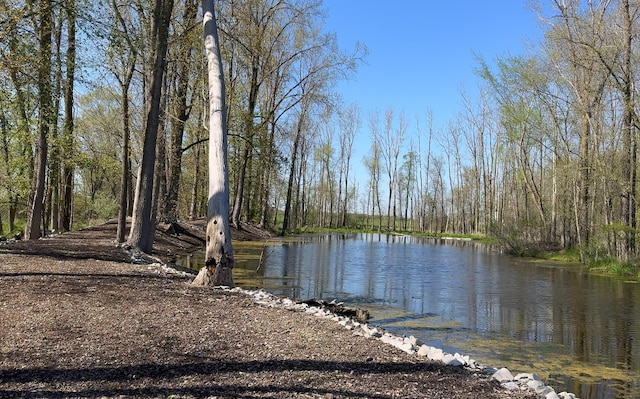 4624 Parman Rd, Stockbridge, MI 49285 - water view with a heavily wooded area