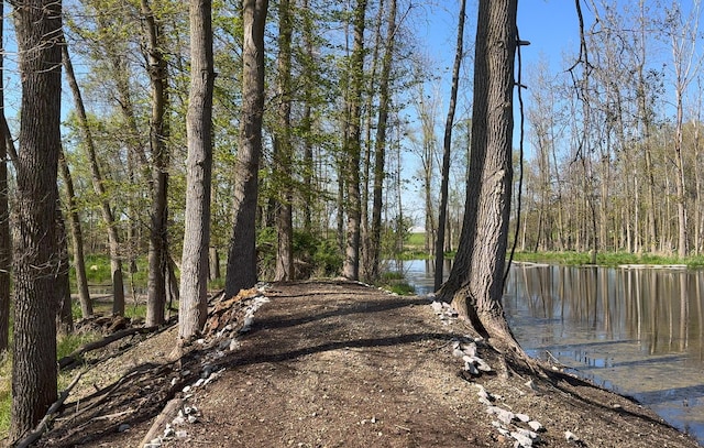 4624 Parman Rd, Stockbridge, MI 49285 - view of road with a water view