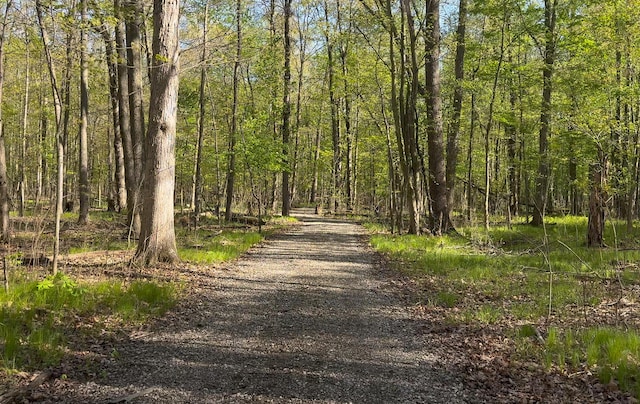 4624 Parman Rd, Stockbridge, MI 49285 - view of road with a wooded view