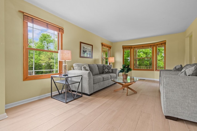 4900 Grass Lake Rd, White Lake, MI 48383 - living room featuring healthy amount of natural light, baseboards, and light wood-type flooring