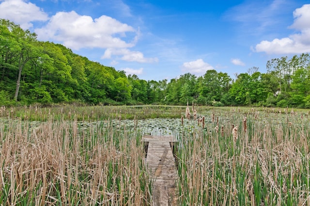 4900 Grass Lake Rd, White Lake, MI 48383 - view of yard with a view of trees and a water view