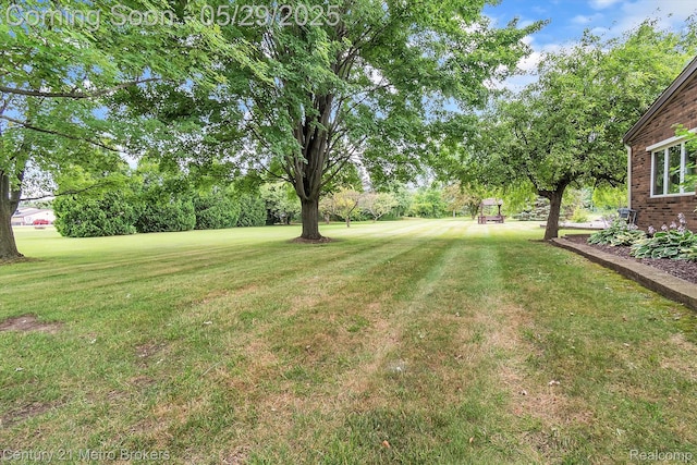 2232 Hayward St, Clio, MI 48420 - view of green lawn