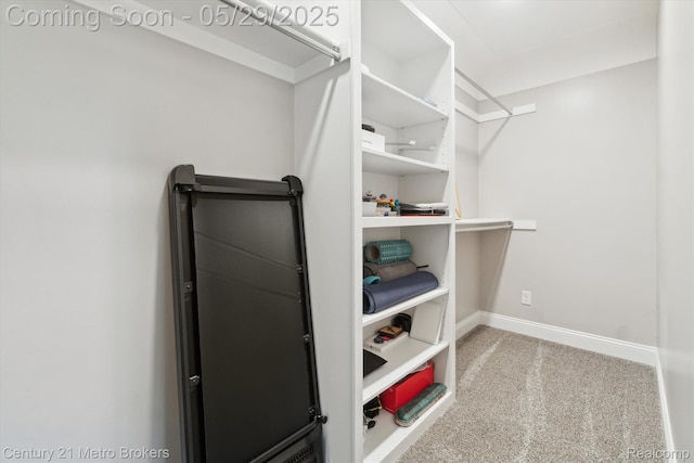 2232 Hayward St, Clio, MI 48420 - spacious closet featuring carpet floors