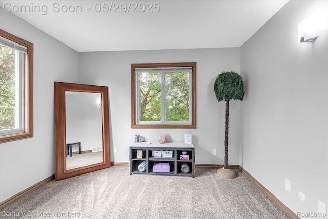 2232 Hayward St, Clio, MI 48420 - miscellaneous room featuring healthy amount of natural light, carpet, and baseboards