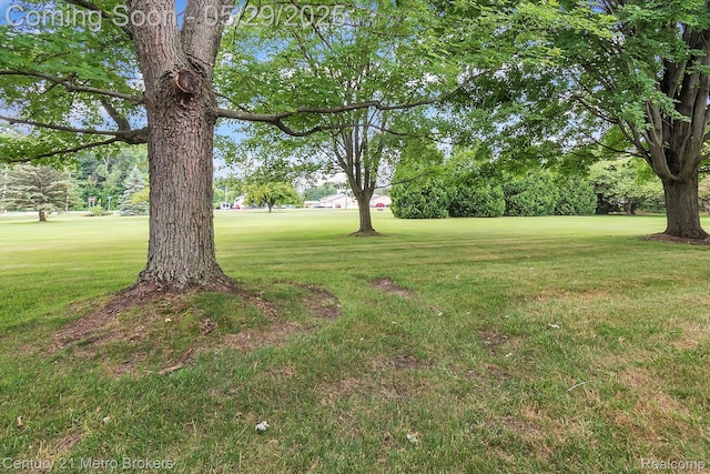 2232 Hayward St, Clio, MI 48420 - view of grassy yard