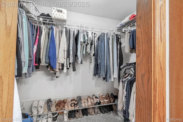 2232 Hayward St, Clio, MI 48420 - view of spacious closet