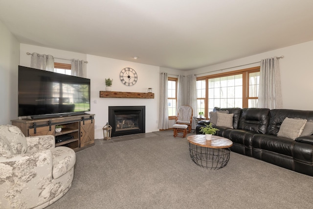 7130 Riesling St, Michigan, MI 49071 - living area with carpet flooring and a fireplace with flush hearth