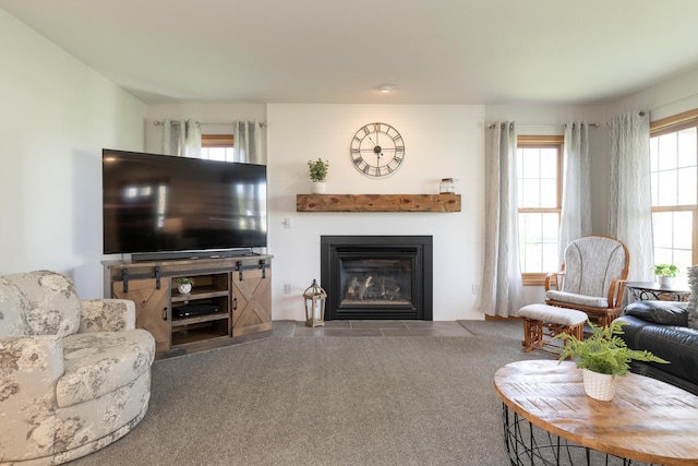 7130 Riesling St, Michigan, MI 49071 - living room with a fireplace with flush hearth and carpet floors