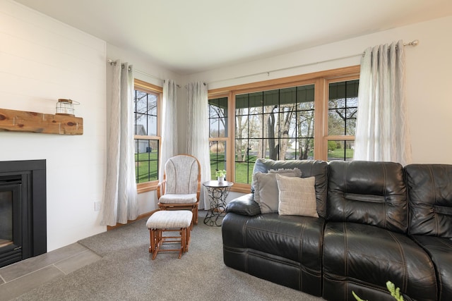 7130 Riesling St, Michigan, MI 49071 - living room with a glass covered fireplace and carpet flooring
