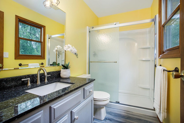 full bathroom featuring wood finished floors, a shower stall, toilet, and vanity