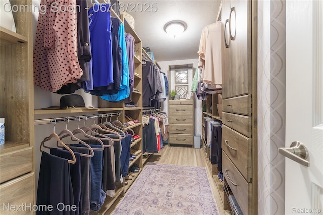17351 Timber Crk, Holly, MI 48442 - spacious closet with light wood finished floors