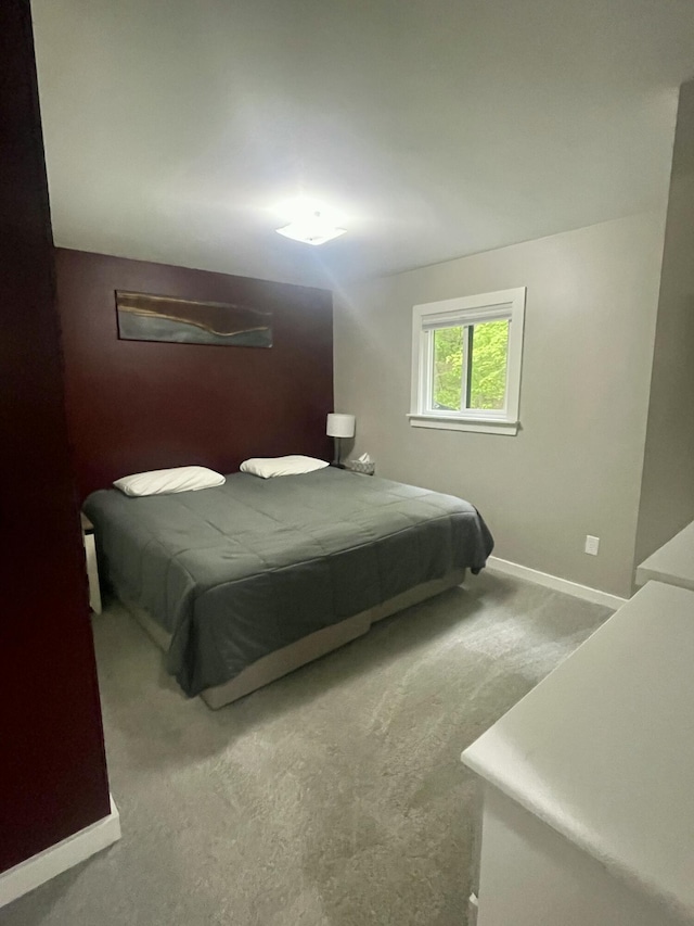 19490 Island Lake Rd, Chelsea, MI 48118 - bedroom featuring carpet flooring and baseboards