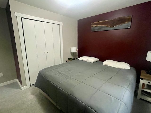 19490 Island Lake Rd, Chelsea, MI 48118 - bedroom with a closet and baseboards
