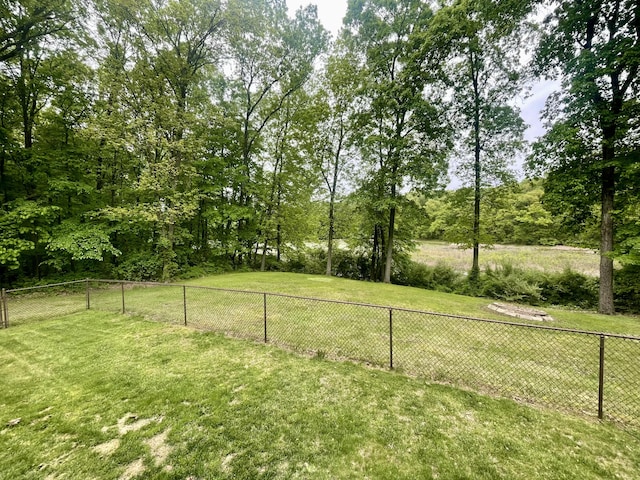 19490 Island Lake Rd, Chelsea, MI 48118 - view of yard