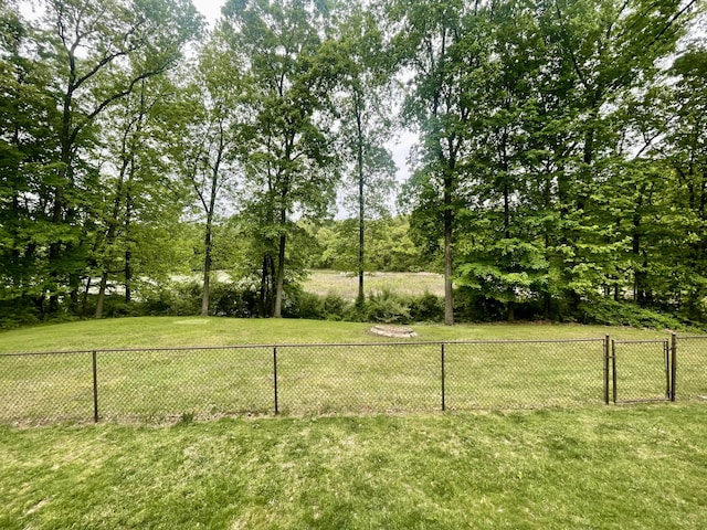19490 Island Lake Rd, Chelsea, MI 48118 - view of yard