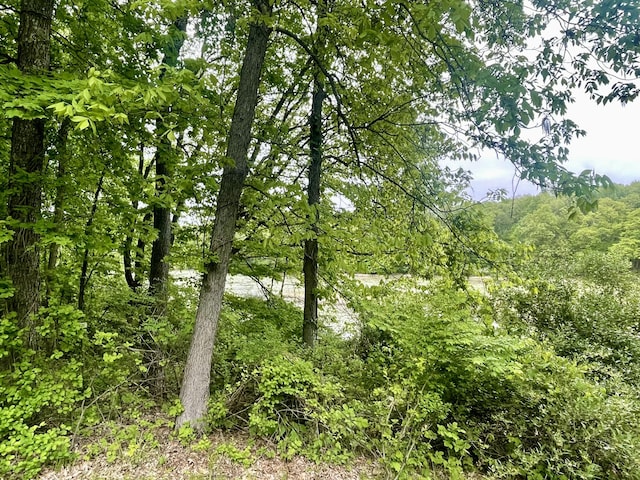 19490 Island Lake Rd, Chelsea, MI 48118 - view of wooded area