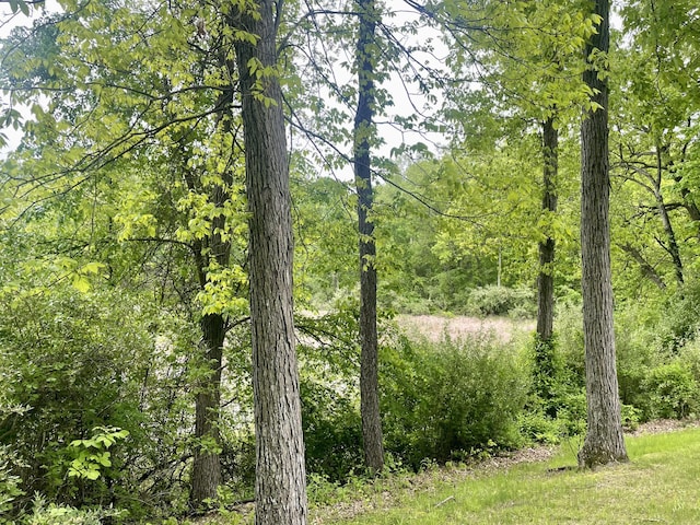 19490 Island Lake Rd, Chelsea, MI 48118 - view of woods