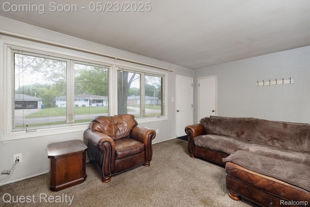 3680 Shoals St, Waterford, MI 48329 - living room with carpet