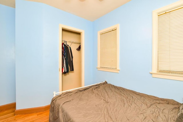 bedroom with wood finished floors, baseboards, a closet, and a spacious closet