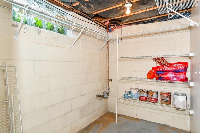 basement featuring concrete block wall