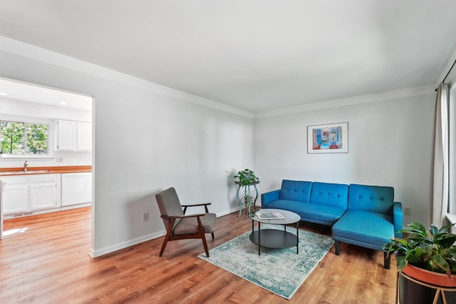 2761 Deake Ave, Ann Arbor, MI 48108 - living area with light wood-style flooring, crown molding, and baseboards