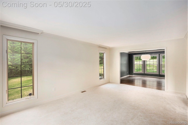 7254 Dark Lake Dr, Clarkston, MI 48346 - carpeted spare room with ornamental molding, plenty of natural light, and baseboards
