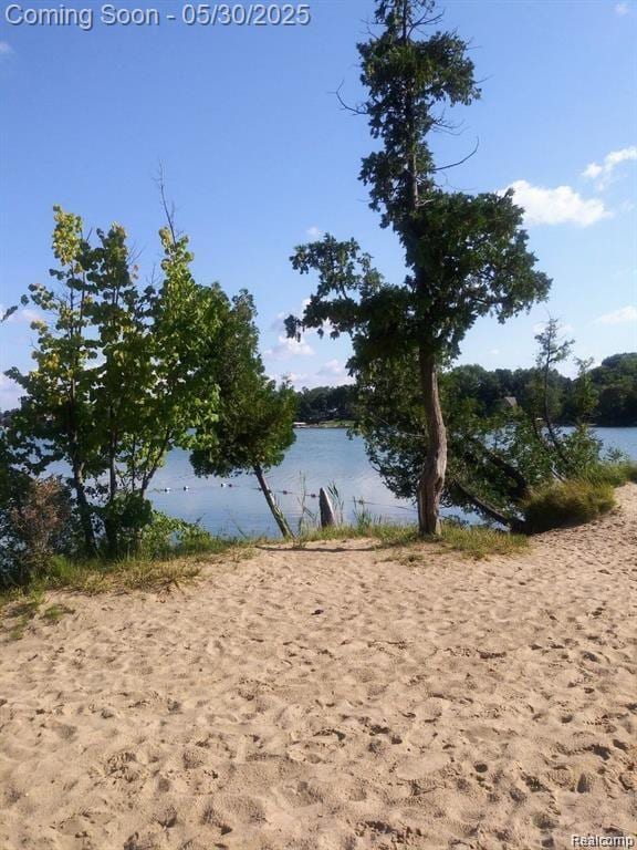 7254 Dark Lake Dr, Clarkston, MI 48346 - water view