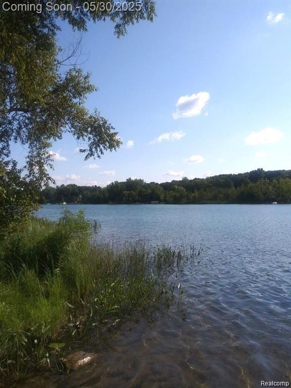 7254 Dark Lake Dr, Clarkston, MI 48346 - water view
