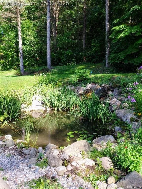 7254 Dark Lake Dr, Clarkston, MI 48346 - view of yard