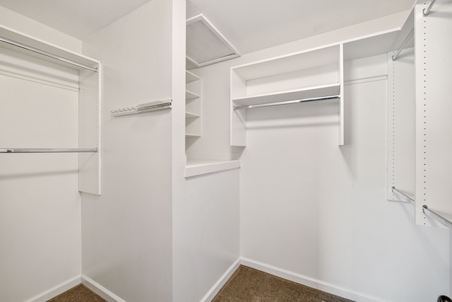 50102 S Angelo, Chesterfield, MI 48047 - spacious closet featuring carpet floors and attic access