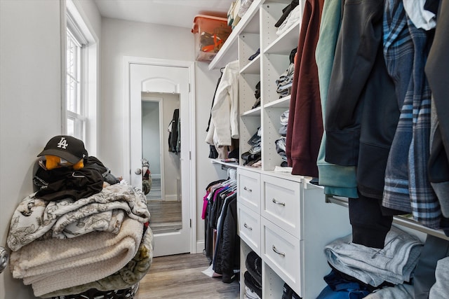 1826 Morris Ave, Lincoln Park, MI 48146 - spacious closet with light wood-style floors