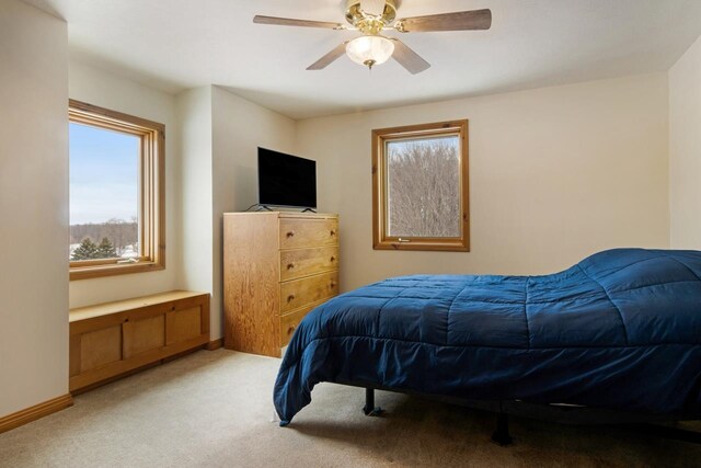 8665 Worden Rd, Beulah, MI 49617