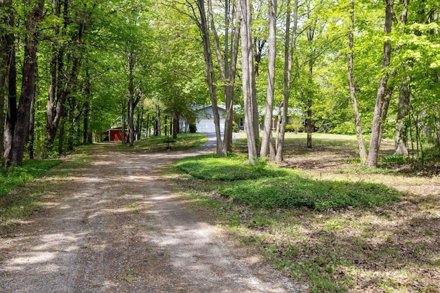 2967 152nd Ave, Holland, MI 49424 - view of dirt / gravel road featuring a view of trees