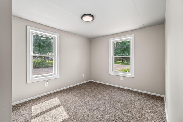 3820 Kaiser Rd, Tecumseh, MI 49286 - photo 28