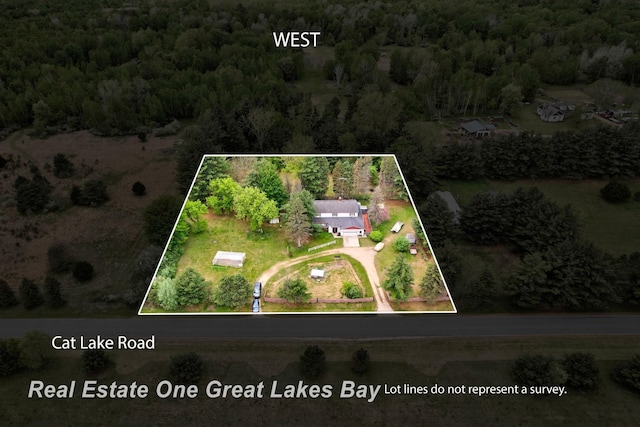 4080 Cat Lake Rd, Mayville, MI 48744 - view from above of property featuring a heavily wooded area and property boundaries highlighted