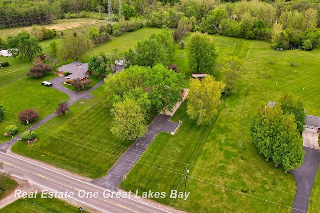 5354 N River Rd, Freeland, MI 48623 - bird's eye view