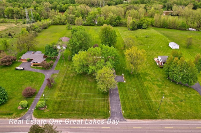 5354 N River Rd, Freeland, MI 48623 - aerial view