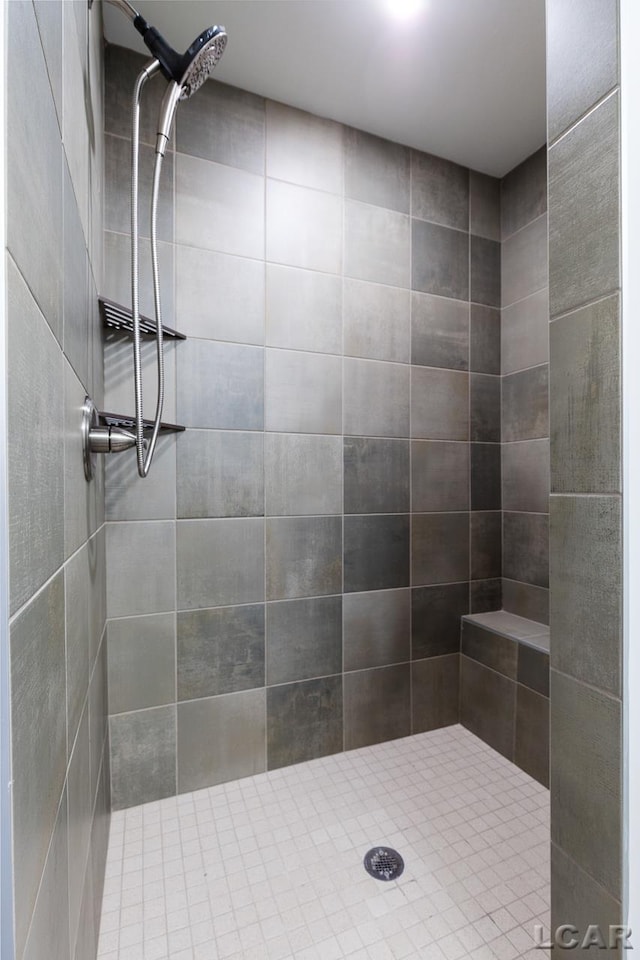 796 War Bonnet Dr, Tecumseh, MI 49286 - bathroom with tiled shower