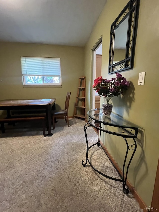 1441 Dover Pl, Saginaw, MI 48638 - corridor featuring carpet floors and baseboards