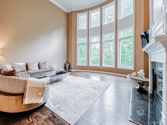 4575 Forest Edge Ln, West Bloomfield, MI 48323 - living room with a premium fireplace, plenty of natural light, crown molding, wood finished floors, and a high ceiling
