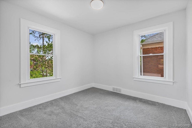 12242 Washburn St, Detroit, MI 48204 - carpeted spare room featuring plenty of natural light and baseboards