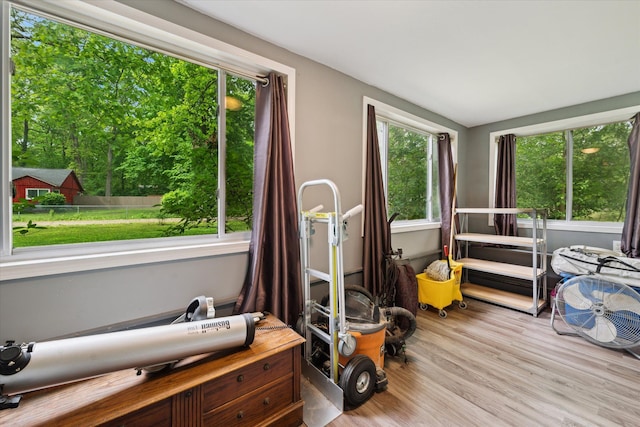 6544 Woodland Rd, Whitmore Lake, MI 48189 - workout area featuring wood finished floors