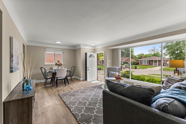 8903 Appleton, Redford, MI 48239 - living room with light wood-style floors and baseboards