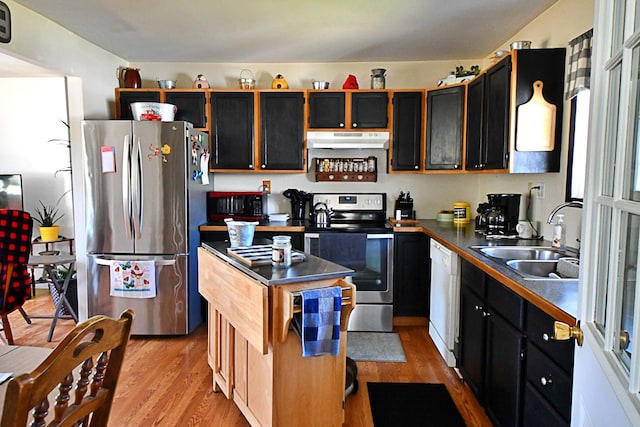 2741 E M 72, Grayling, MI 49738 - kitchen with appliances with stainless steel finishes, under cabinet range hood, a sink, light wood-style flooring, and a kitchen island