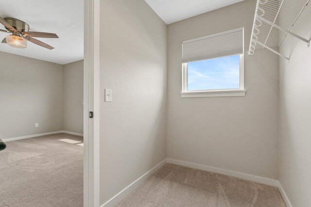 4146 Corvo, Kalamazoo, MI 49006 - photo 34