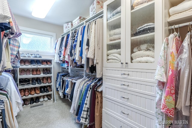 7708 Stations Dr SW, Byron Center, MI 49315 - walk in closet with carpet flooring