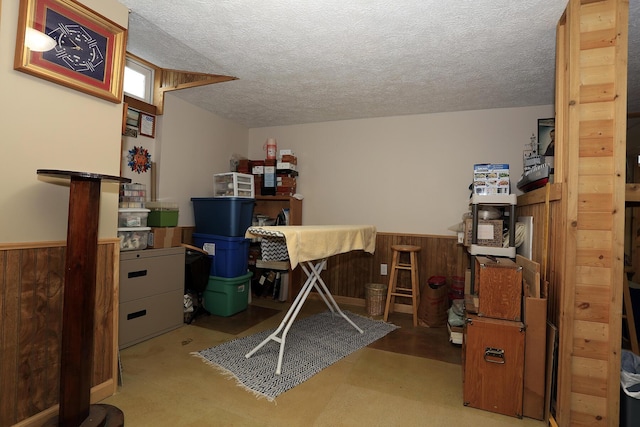 113 Davis Dr, Brooklyn, MI 49230 - home office featuring a wainscoted wall, a textured ceiling, and wood walls