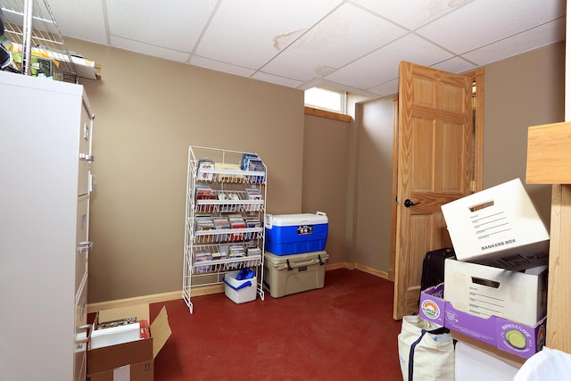 113 Davis Dr, Brooklyn, MI 49230 - view of storage area