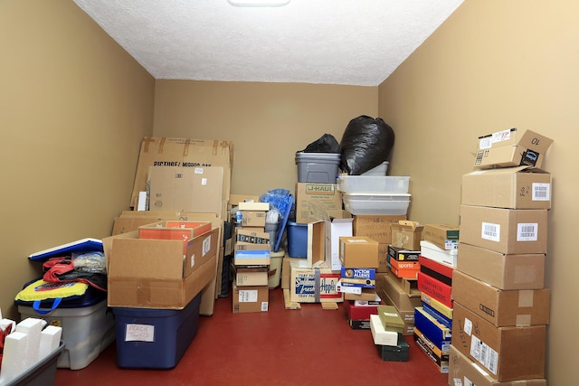 113 Davis Dr, Brooklyn, MI 49230 - view of storage room